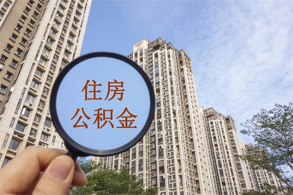 霸州个人公积金去哪儿取（住房公积金个人到哪里提取）